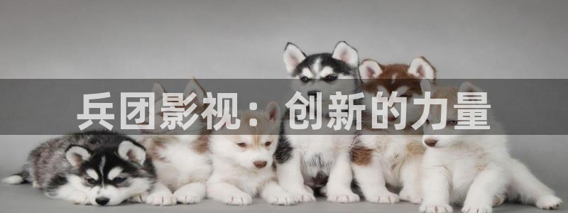 下載絲瓜視頻極速版：兵團影視：創新的力量