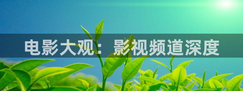 極速影院電視?。弘娪按笥^：影視頻道深度